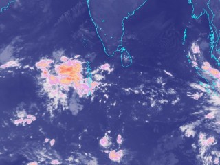 މޫސުން ގޯސްވެ، ޔެލޯ އެލަރޓް ނެރެފި!