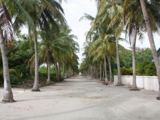 ހއ. މޮޅަދޫ: އެ ރަށު އިންޖީނުގޭގެ ތިޖޫރި ވަނީ ވަގަށް ނަގާފައި