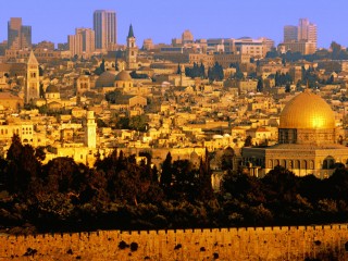 ޖެރޫސަލަމް އިޒްރޭލްގެ ވެރިރަށަށް ނުވާނެ ސަބަބު