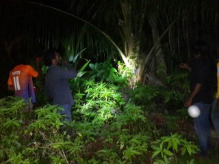 ނޮޅިވަރަމް ވަލުތެރެ ބަޔަކު ހޯދަނީ