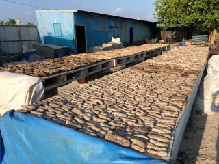 ފާނަ އާއި ހުއިފިލަނޑާ ނެގުން: ގިނަ ފަރުތަކަކާއި ގިރިތަކެއް ވަނީ އެކި ފަރާތްތަކަށް ދީފައި!