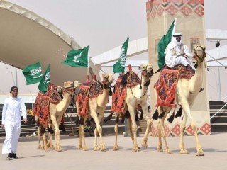 ޖަމަލު ފެއަރގައި ބައިވެރިކުރާ ޖަމަލުތަކެއް