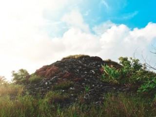 ގަމު ހަވިއްތަ: ލޯ ކުރިމަތިން ގެއްލިދާނެ!