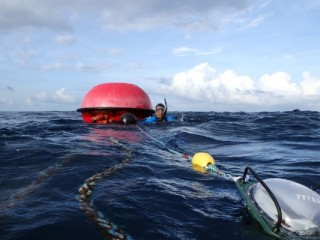 ކަނޑުގައި ބޮއި ހަރުކުރުމުގައި ބަޔަކު ހަރަކާތްތެރިވަނީ - ކޮލަމާފުއްޓާއި، ދެއްވަދޫ ބޮއި ކެނޑިފައި ހުންނަތާ 3 މަސް ދުވަސްވެފައިވޭ