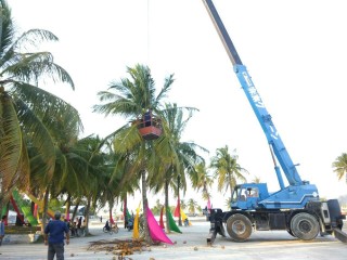 މާމިގިލި: ހަަތަރު މީހަކަށް އަނިޔާވި