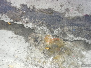 ޕެޓްރޯލް އަޅާފައި ހުރި ކޮތަޅުތަކެއް އެމްޑީޕީ ހަރުގެއަށް އުކައިފި