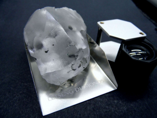 ބޮޑު ސިންގާ އަލިމަހެއް ލެސޯތޯ އިން ހޯދައިފި