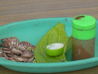 ދުފުން – އާދަކާދައާއި ގުޅިފައިވާ ނުރައްކާތެރި ދުޝްމަނެއް