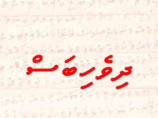 ދިވެހިބަސް އެކުލެވިގެން ވަނީ 8 ބައެއްގެ މައްޗަށް