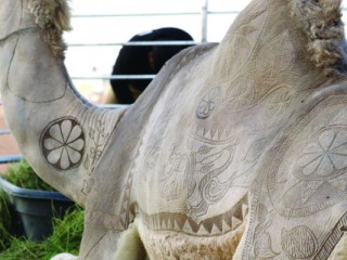 ޖަމަލު ފެއާގައި ޖަމަލުގެ ބުރަކަށީގައި ކުރަހާފައި