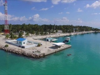 Expatriate found dead in Alifushi