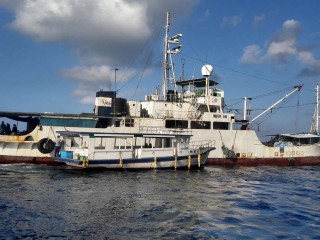 މިފްކޯގެ ދިޔަވަމުންދާ މަސްބޯޓު