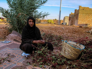 ހަމަ އެކަނި އަންހެނުން ދިރިއުޅޭ ވިލެޖެއް މިސްރުގައި!