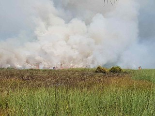 ހުޅުމީދޫ ކުޅީގައި އަލިފާން ރޯވެފައި