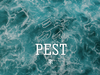 އޮޔާ: ހަޔާތުގެ ވާހަކަ އާއިއެކު ރެޕް ރަސްގެފާނު، ޕެސްޓުގެ އެނބުރި އައުން