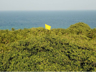 ބިލަތްފަހީގައި ހުރި އެމްޑީޕީގެ ބޮޑު ދިދަ ފުލުހުން ގޮސް ތިރި ކޮށްފި