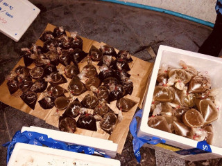 މިފަހަރު މިރުސް ފެނަށް މާބޮޑު ސަމާލުކަމެއް ނުލިބުނު! ރައްޔިތުން ޖެހީ ހަޖޫ!