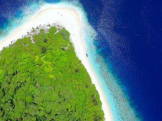 ހިމާޔަތް ކޮށްފައިވާ ހިތާދޫއަށް ގެއްލުންދިނުމުން 300،000 ރުފިޔާއިން ޖޫރިމަނާކޮށްފި