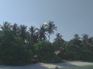 އެމްޑީޕީގެ ދިދަ ނެގި ރުއް ކަނޑާލިތާ ދެދުވަސްފަހުން ނޮޅިވަރަންފަރު ރުކަކަށް އަނެއް ދިދަ ނަގައިފި