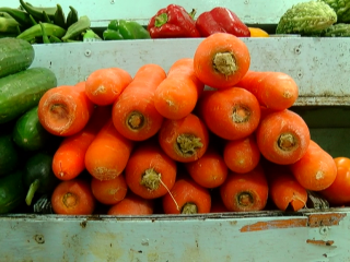 ކެރެޓް ކިލޯއެއް އަގު 130 ރުފިޔާ އަށް !