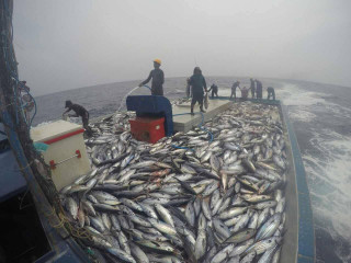 Fishermen onboard a vessel