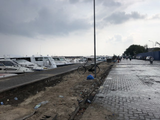 ބޮޑުތަކުރުފާނުމަގު ތަރައްޤީ ކުރުމަށް ކަމަށް ބުނެ އެ މަގުގައި ހުރި ގަސްތައް ކަނޑާލާފައި