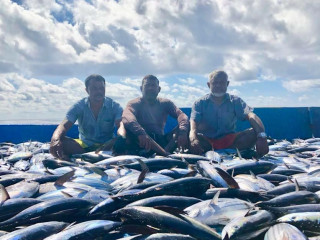 ގޮދާތަކާ އެކު، ދިވެހި މަސްވެރިންތަކެއް