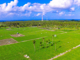 އއ. ތޮއްޑޫގައި ކަރާ ހައްދާ ސަރަހައްދު