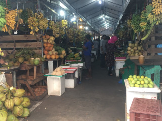 ފާއިތުވި ހަފްތާގައި ދަނޑުވެރިކަމުގެ ބާވަތްތަކުގެ 71 އިންސައްތަ މާލެ ގެނެސްފައި ވަނީ އއ. އަތޮޅާއި ކ. އަތޮޅުން