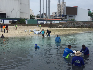 Swimming track area on the south side of Male\'