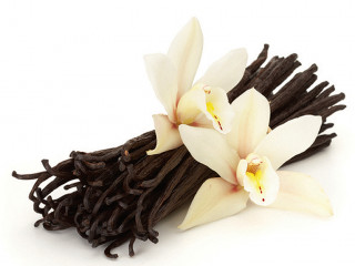 ވެނީލާ ކިލޯއެއްގެ އަގު ރިހި ކިލޯއަކަށްވުރެ ބޮޑުވެ، ލިބުން ދަތިވެއްޖެ