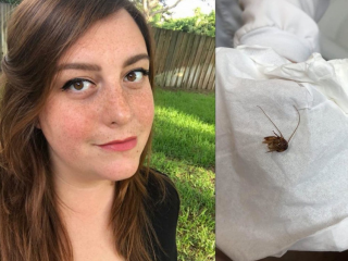 ނިދާފައި އޮތް އަންހެނެއްގެ ކަންފަތައް ވަތް ކުރަތްޕެއް 9 ދުވަސް ފަހުން ނަގައިފި