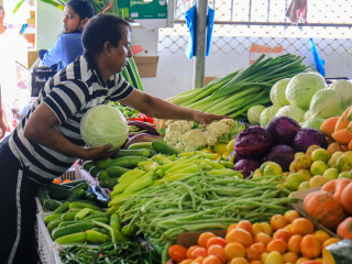 މާރުކޭޓުގައި ވިއްކާ ތަކެތީގެ އަގު ރަމަޟާން މަހަށް ފަހު ދަށަށް ދާނެ: ތަކެތި ވިއްކާ ފަރާތްތައް