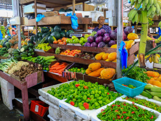 ރޯދަ މަހު ތަރުކާރީ ގިނައިން ބޭނުންކުރުން މުހިންމު