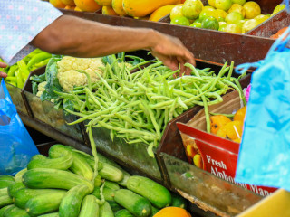 ދަނޑުވެރިކަން އާލާކުރުމުގެ ގޮތުން ސަރުކާރުން ހުށަހެޅި ޕެސްޓިސައިޑާއި ބެހޭ ބިލް މަޖިލީހަށް ބަލައިގެންފި