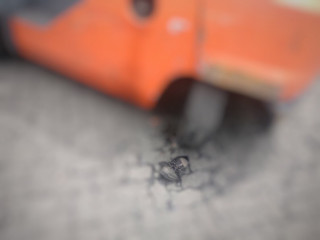 މަޖޫރީގެ ފަޔަށް އެރި ފޯކްލިފްޓް