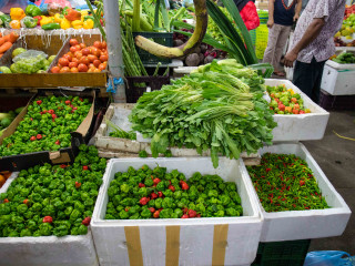 ދަނޑުވެރިކަން ކުރިއަރުވާ އާލާކުރުމުގެ ބޭނުމުގައި ސަރުކާރުގެ ފަރާތުން މަޖިލީހަށް ހުށަހެޅި  ބިލެއް