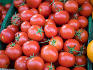 ޓޯމާޓޯ ބޭނުންކުރަންވީ ސަބަބު މިއޮތީ