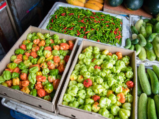 ކާބޯތަކެތީގެ އަގު އުފުލެނީ ސިޔާސަތު ދޯދިޔާވުމުންތަ!؟