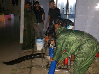 ވިއްސާރާގައި އައްޑޫ ސިޓީ ބައެއް މަގުތަކުގައި ފެންބޮޑުވެއްޖެ