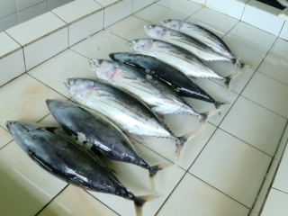 Nationwide fish catch stoops, prices double