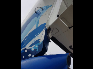 ޕާކުކޮށްފައި އޮތް މޯލްޑިވިއަންގެ ދެ ބޯޓަކަށް ގެއްލުން ވެއްޖެ