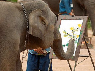 އެތެއްގެ އަމިއްލަ ކުރެހުންތަކަށް ގިނަ ބައެއްގެ ޝައުވެރިކަން