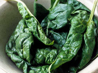 ބޯވެލިފަތް: ނުކައި ދޫކޮށްލެވޭ ވަރުގެ ފަތެއް ނޫން!