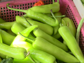 ކެޕްސިކަމް ކިލޯގެ އަގު 80ރ އަށް އުފުލިއްޖެ