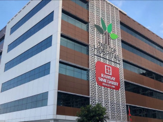 ގޯހީ ޓްރީ ޓޮޕެއް ނޫން، ސަރުކާރުގެ ސިިއްހީ ސިޔާސަތު!