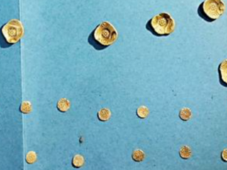 އިންޑިއާގެ ކޮންޑިޖެއިން ޑިސްޓްރިކްޓްއިން ފެނުނު ރަން ފައިސާ ފޮތިތައް