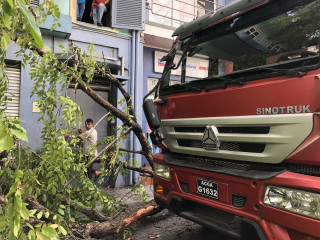 އަމީނީ މަގުގައި ހުންނަ ސީގަލް ފިހާރަ ކުރިމަތީ ހުރި ގަސް ވެއްޓިފައި