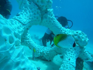 ގޮނޑުދޮށް ހިމާޔަތް ކުރުމަށް ކޮންކްރީޓަށް ވުރެ ތްރީޑީ ޕްރިންޓިން ޓެކްނޮލޮޖީ ބޭނުންކުރުން މާ ރަނގަޅު: ރައީސް ނަޝީދު