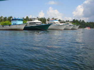 މަސްވެރިކަމަށް ނިކުމެ އުޅުނު މީހަކު ކަރަންޓްގައި ޖެހިގެން މަރުވެއްޖެ